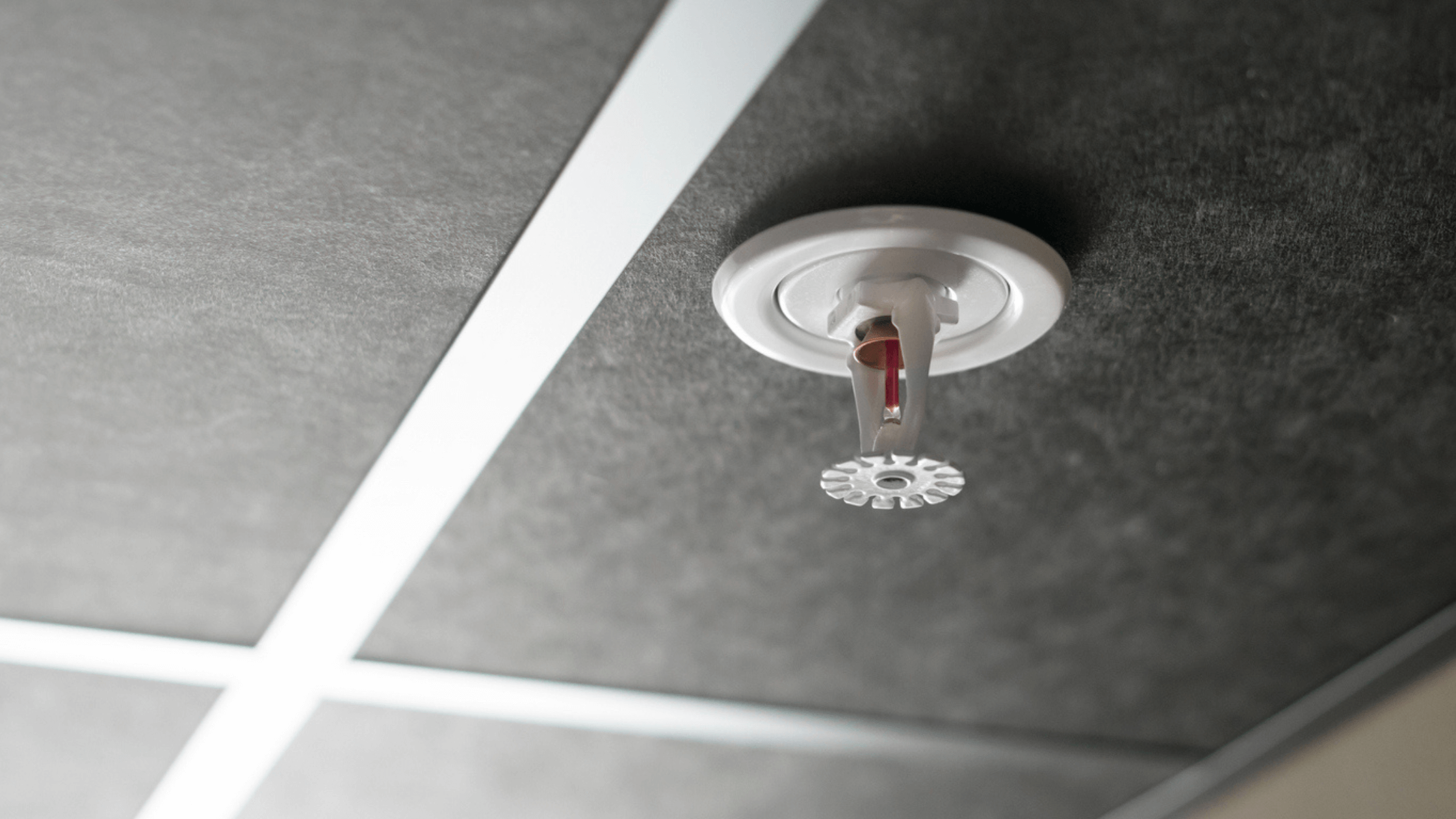 Top 4 Things To Look For In A Good Building Sprinkler System